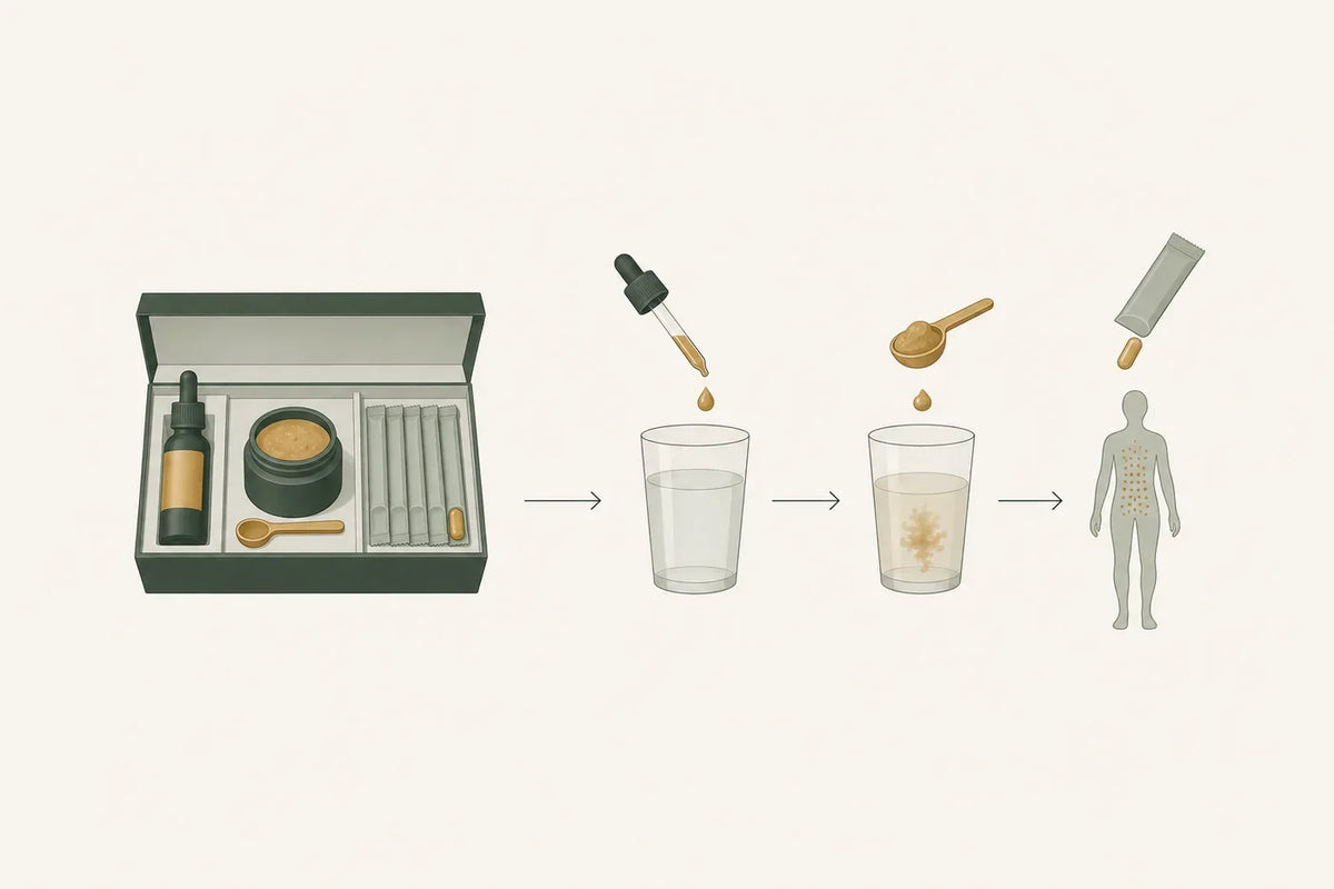 An open kit box holding a dropper bottle, a jar with a wooden spoon and a row of sachets, then a dose going into water and reaching the body.