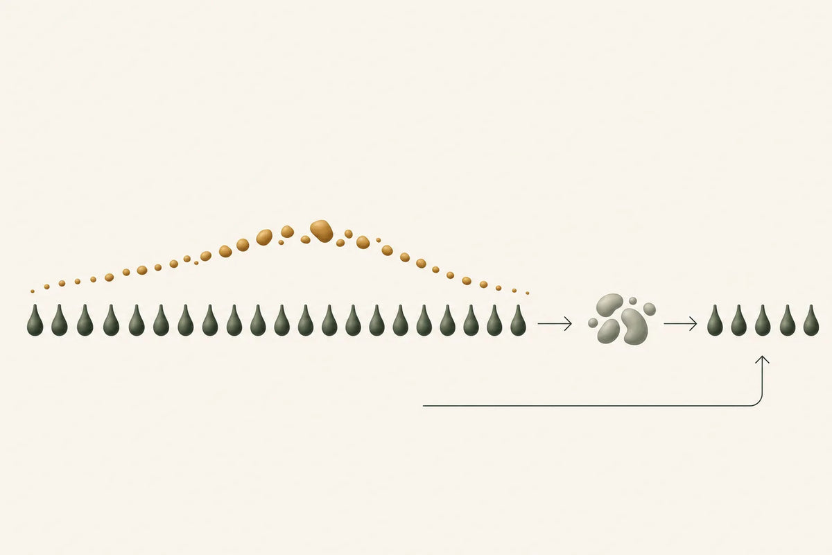 Daily mineral drops form a monthly base, resin portions rise and fall above them, and grouped enzyme doses mark the cycle transition.