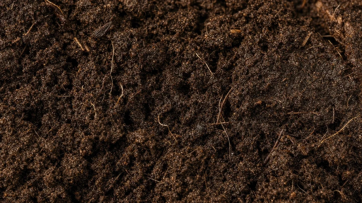 Deep humus soil in close up, a dark crumb structure threaded with fine roots