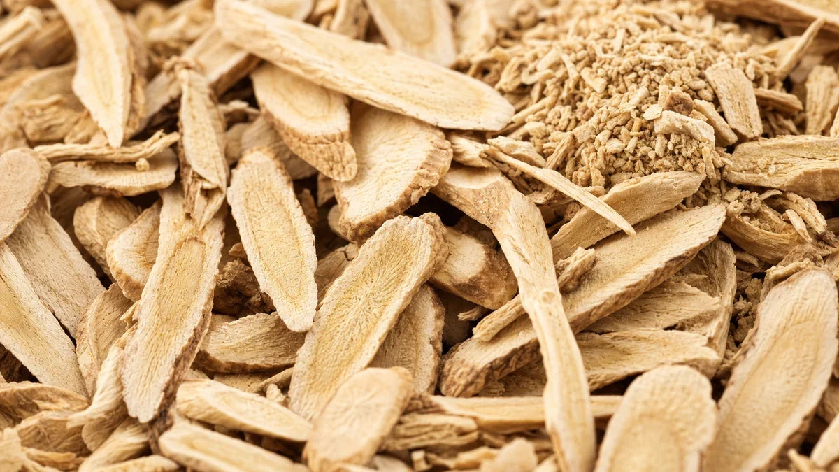 A close macro of astragalus root
