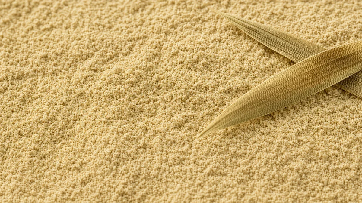 A close macro of bamboo leaf