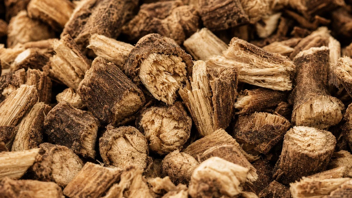 A close macro of burdock root