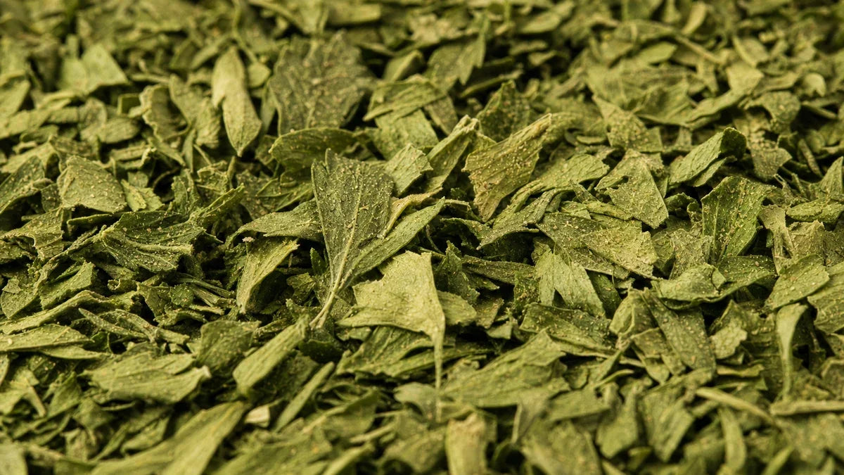 A close macro of parsley leaf