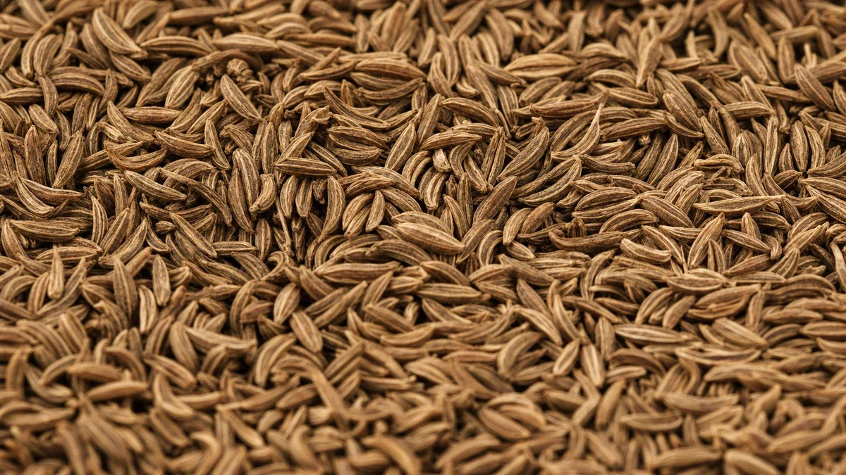 A close macro of caraway seed (carum carvi)