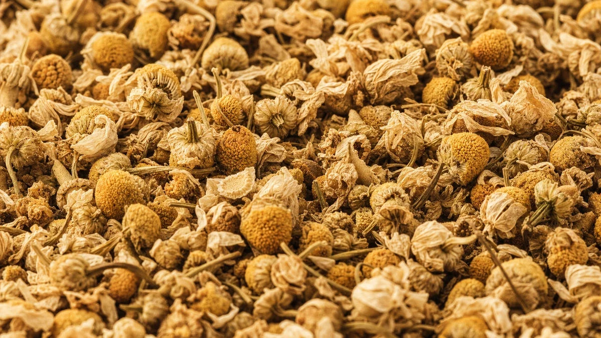A close macro of chamomile