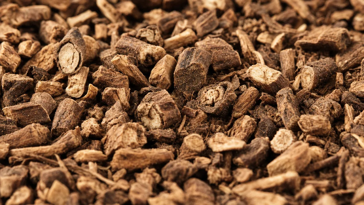A close macro of dandelion root