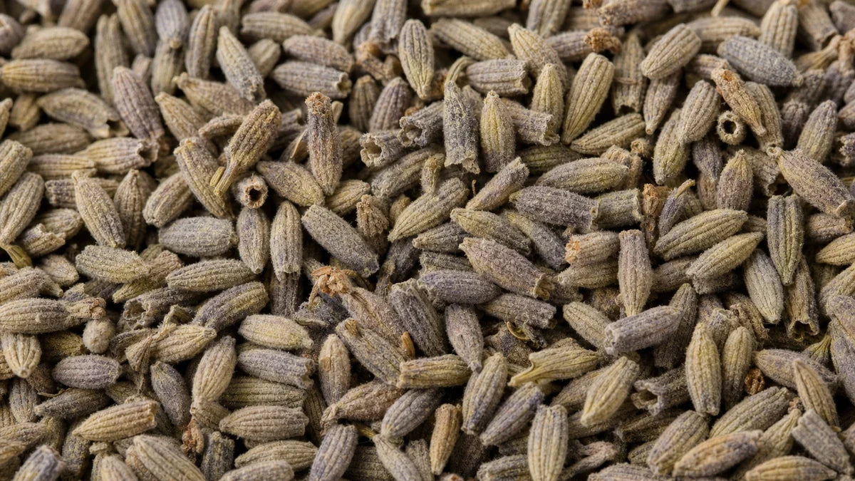 A close macro of lavender