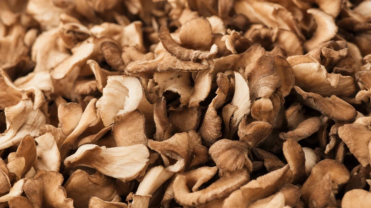 A close macro of maitake