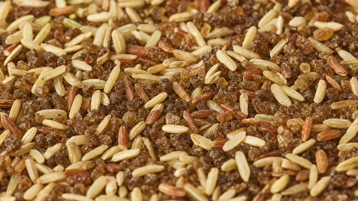 A close macro of rice and sugars